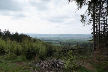 forest natural landscape of northern bohemia