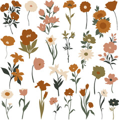 Set of different types of red, pink and white flowers