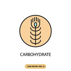 carbohydrate icons  symbol vector elements for infographic web