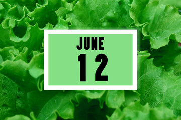 calendar date oncalendar date on the background of green lettuce leaves. June 12 is the twelfth day of the month