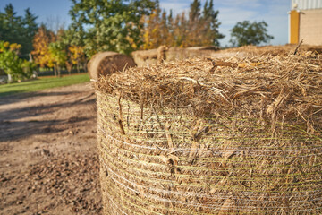 Round hay bales on a hillside field on a sunny day with a blue sky and clouds