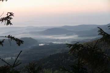 forest natural landscape of northern bohemia