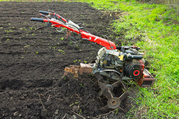 Diesel cultivator with milling cutters makes furrows in the soil for the plantation. Motoblock...