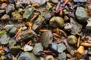 stones on the beach