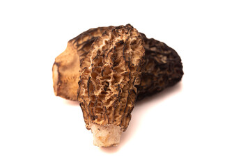 Morel Mushrooms Isolated on White Background