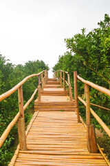 Wooden walkways in orange farm.