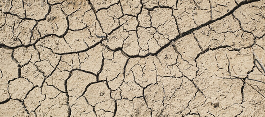 Cracks ground, top view for the background or graphic design with the concept of drought and death. Ecology and well being of ecosystems