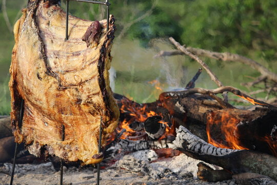 Freixo Bilder Durchsuchen 252 Archivfotos, und Videos