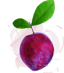 Abstract of Plum fruit with leaf on soft color. (Scientific name Prunus domestica.)