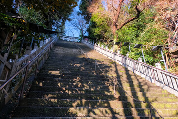 東京都港区 愛宕神社 出世の石段