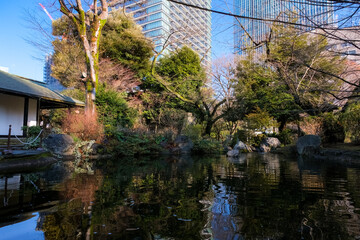 東京都港区 愛宕神社の池
