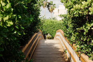 wooden bridge in the forest