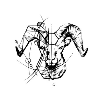 illustration of  Aries. Tattoo Aries