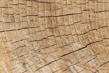 Cracks on old brown wood. Wooden background.