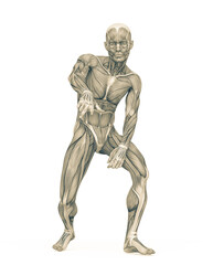 average man muscle maps is doing a hiphop pose