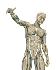 Obraz premium average man muscle maps is doing a top hiphop pose