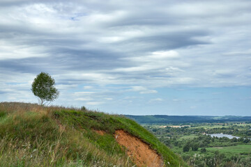 Sunny summer scene.Countryside landscape.Green field and growing birch. Russian landscape.