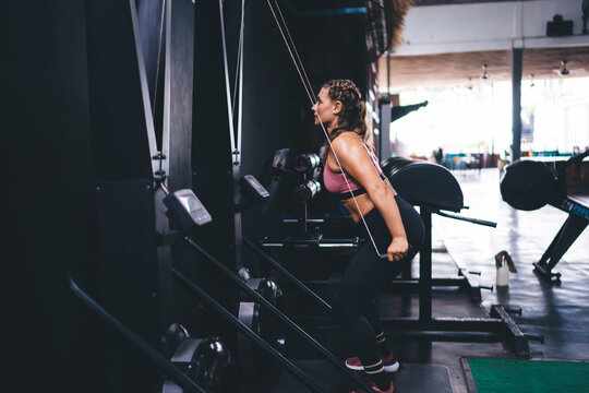 Determined athletic girl engaged in pectoral exercise machine in sportive gym studio, side view of woman in leggings and top keeping muscles toned and pulling weight on simulator equipment