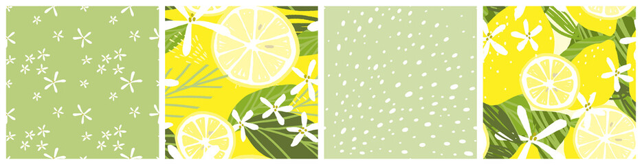 Abstract lemon seamless pattern set. Summer citrus fruit spray vector background design.