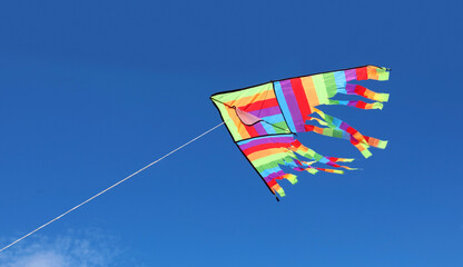 multicolored rainbow flying in the blue sky symbol of freedom and carefree