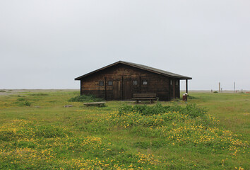 Obraz premium old barn in the field near the beach