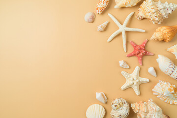 Summer vacation background with with seashell and starfish. Flat lay composition - obrazy, fototapety, plakaty