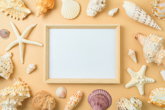 Frame mock up with seashell and starfish. Summer vacation concept. Top view, flat lay
