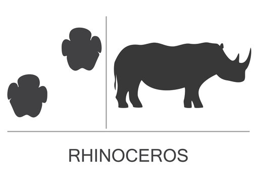 Silhouette and footprints of a rhinoceros. Vector illustration isolated on white background.