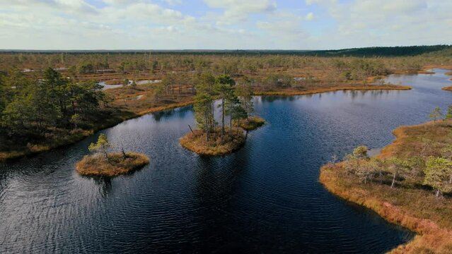 Aerial drone view over trails and lakes in Kemeri National Park, Jurmala, Latvia, Europe