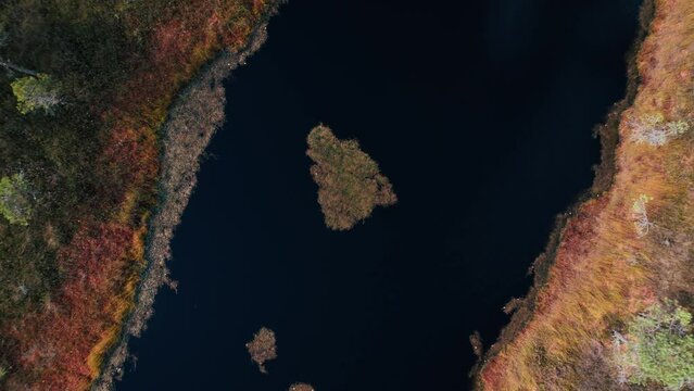 Aerial drone view over trails and lakes in Kemeri National Park, Jurmala, Latvia, Europe