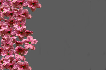 Pink Flowers Grey Background Creative Decorative Side Border With Text Space 