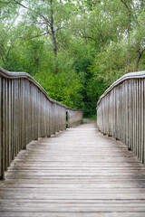 pont de bois  ancien dans la nature