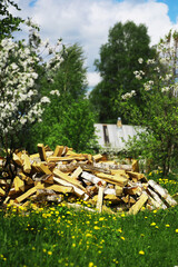 Firewood in a pallet. Chopped firewood lies on the ground. Wooden background..