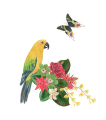 Watercolor painting floral composition with yellow parrot bird and butterfly. Tropical illustration, artprint - 504002987
