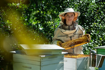 Young female beekeeper hold wooden frame with honeycomb. Collect honey. Beekeeper on apiary. Beekeeping concept. - obrazy, fototapety, plakaty