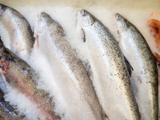 Fish shop. Sale of cooled trout on the counter. Fish in ice.  Meat products