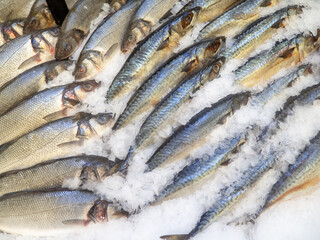 Fish shop. Sale of mackerel. Sea fish. Chilled mackerel on the counter. Fish in ice.  Meat products