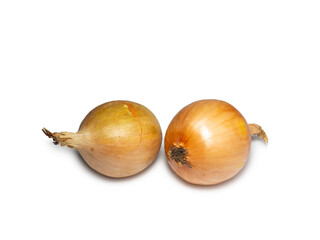 Onion on a white background. Root isolate. Fresh vegetables.