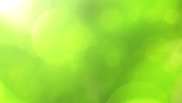 Looping sunny green nature bokeh copy space background.