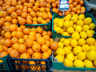 tangerines and lemons on the store counter. Trade in fresh fruits.
