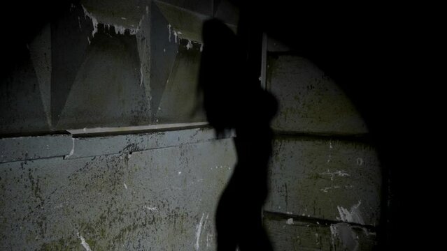 shadow of sexy female body on dirty wall of basement or dungeon, bdsm and sex role playing