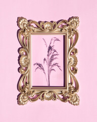 Plant shadow on sunny day in vintage frame concept. Minimal botanical layout. Nature flat lay on pink background.
