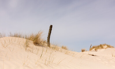 dunes in the desert - obrazy, fototapety, plakaty