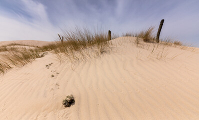 sand dunes in the desert - obrazy, fototapety, plakaty