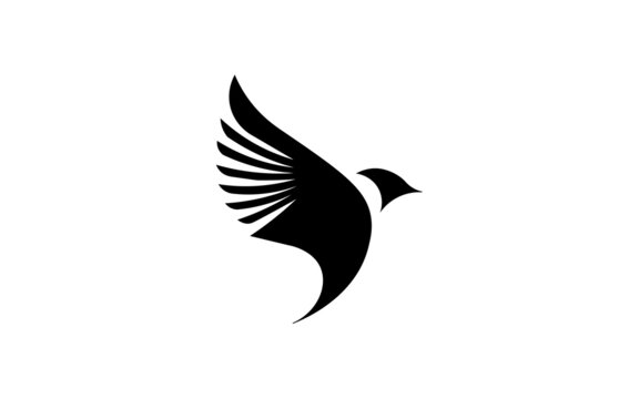 UCCELLO IN VOLO 