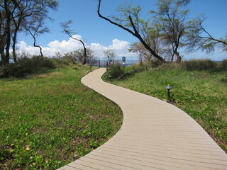 Sinuous path across a green leaves field. Blue sky and trees at the horizon. Kaanapali, Kahekili Beach Park, Maui, Hawaii.