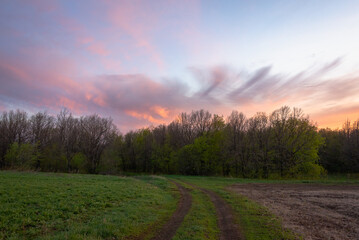 Sunset on a dirt road near the forest.