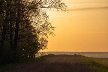 Sunset on a rural road near trees.