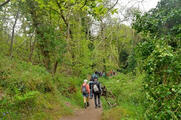 Group of senior hikers walking in the Traouiero valley at Tregastel in Brittany-France