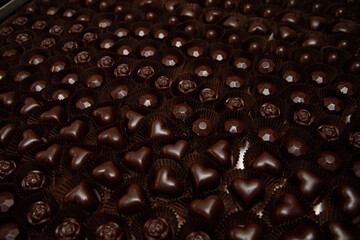 Lots of handmade chocolate candies with filling in a chocolate factory